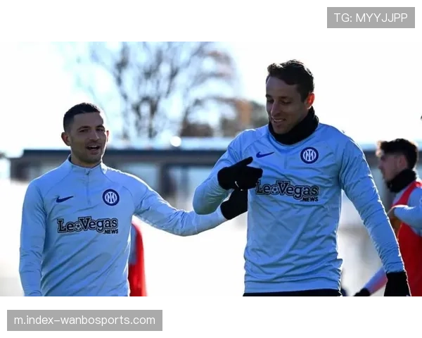 那不勒斯宣布梅雷特右脚骨折 霍伊伦缺席对阵国米比赛